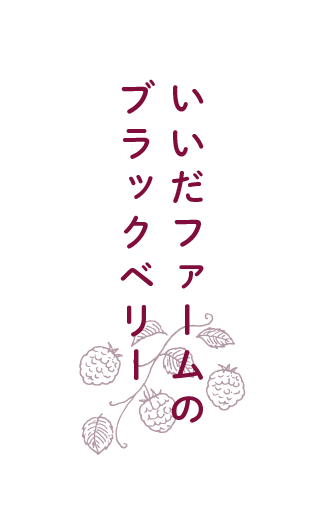 いいだファームのブラックべリー