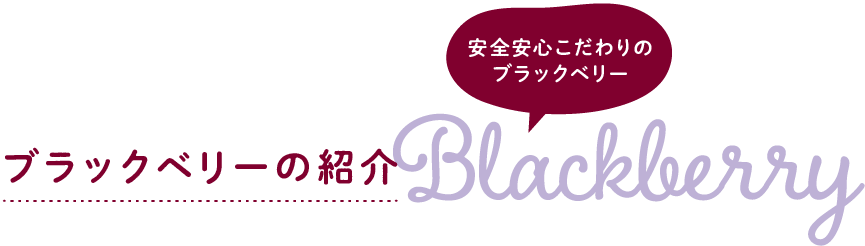 ブラックベリーの紹介
